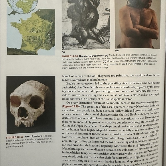 Essentials of Biological Anthropology 4th Ed. Clark Spencer Larsen - Picture 7 of 13